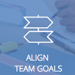 align_team_goals-848207-edited.png